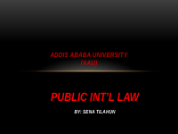 PUBLIC INTL LAW (2).pptx